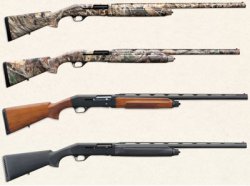 Stoeger 2000