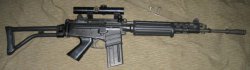   FN CAL ()